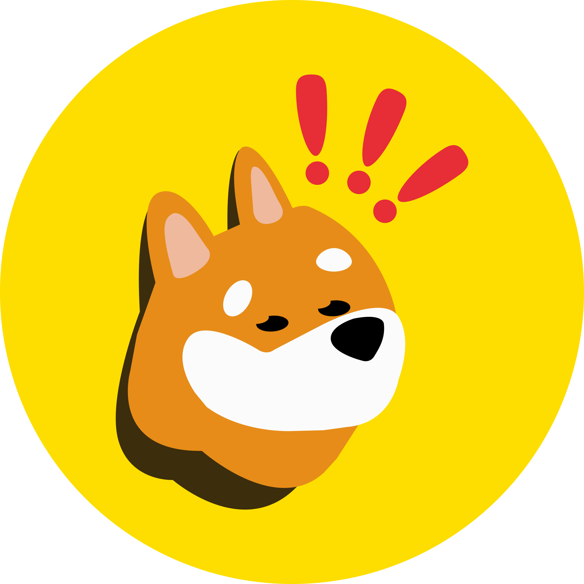 1000BONKUSDT